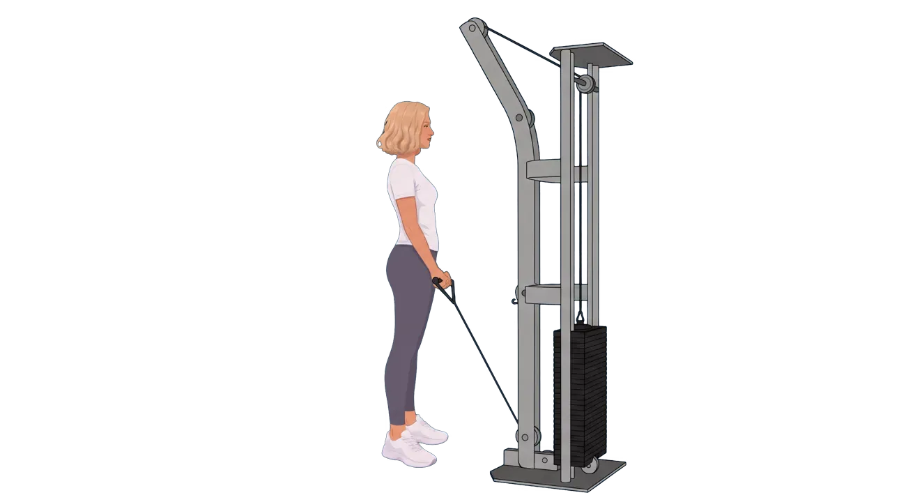 Single-Arm Cable Curl (Cindy)