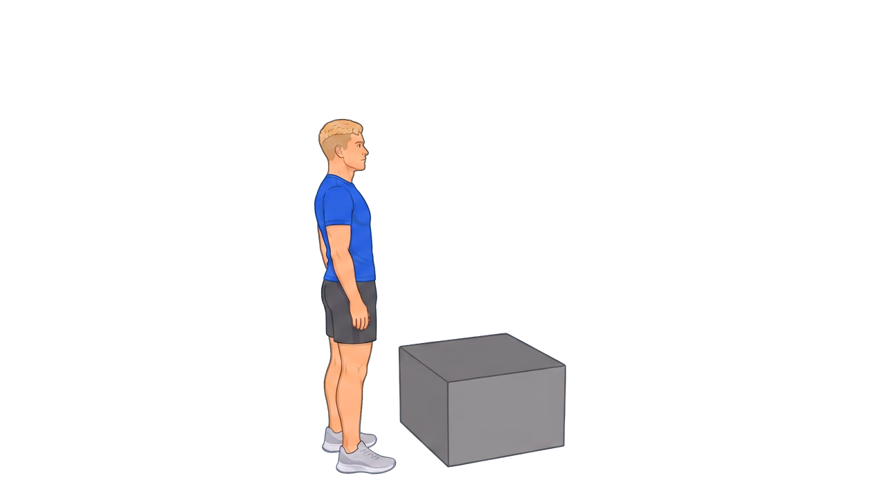 Box Jump